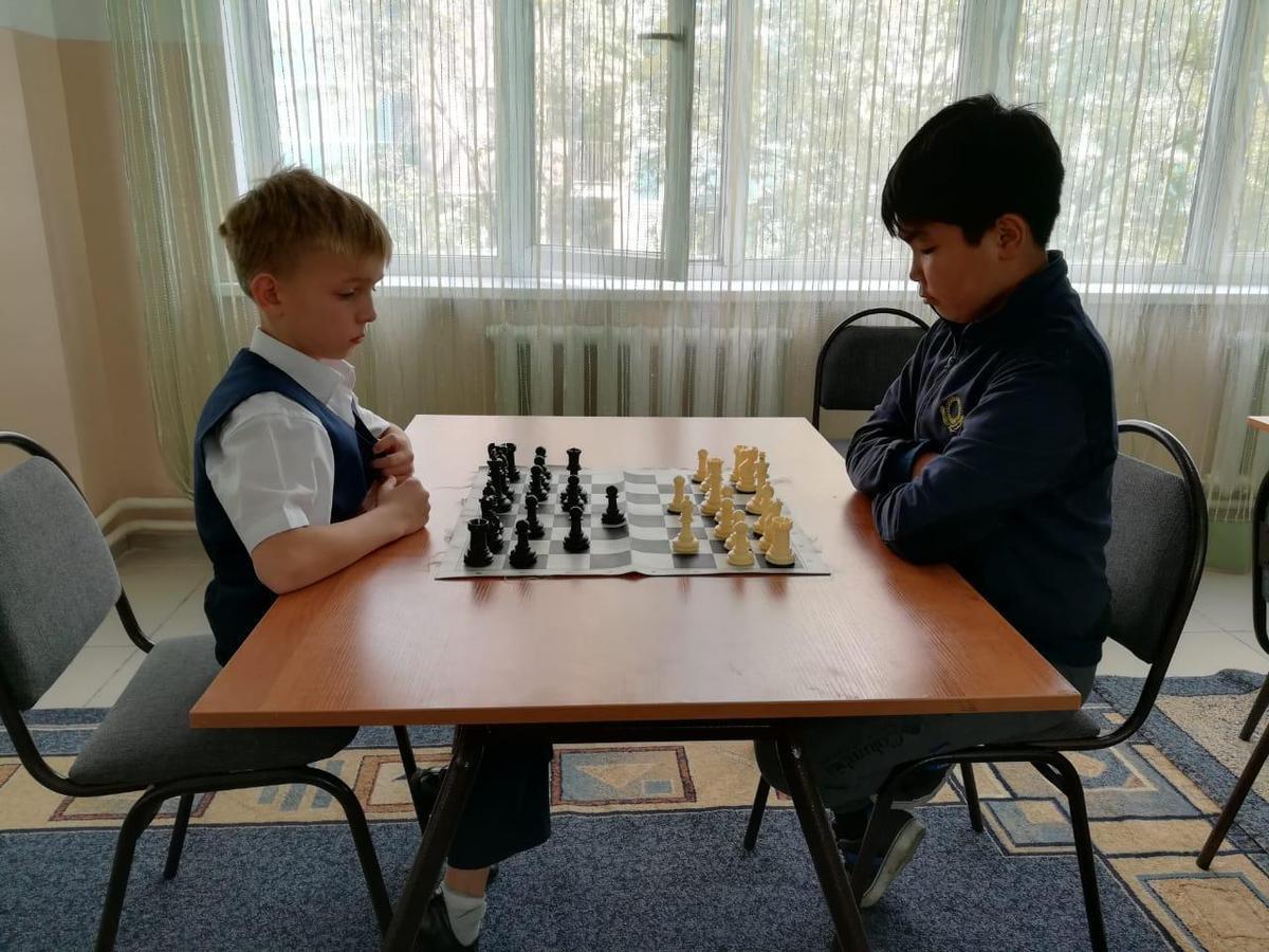 Шахматы в школе